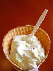 waffledish