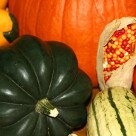 fall