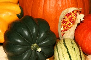 fall