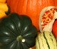 fall